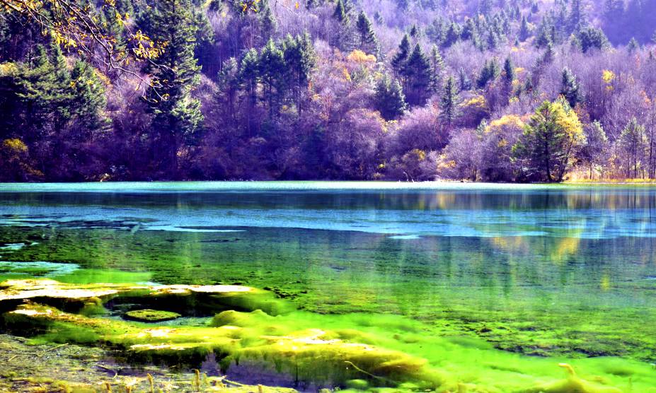 <strong>18. Vale Jiuzhaigou, <a href="https://viajeaqui.abril.com.br/paises/china" rel="China" target="_self">China</a></strong> Águas cristalinas, espécies variadas de árvores e montanhas de 4.800 metros são apenas algumas das belezas que marcam o lugar, tombado como Patrimônio Mundial da Humanidade pela UNESCO. Além disso, é possível observar as quedas das cachoeiras e se aventurar pelos caminhos que escondem pássaros e alguns animais em extinção. A história conta que a área de 72 mil hectares foi ocupada durante séculos pelos povos tibetanos e qiangs, antes de se tornar um parque público. <strong>18. Vale Jiuzhaigou, <a href="https://viajeaqui.abril.com.br/paises/china" rel="China" target="_self">China</a></strong> Águas cristalinas, espécies variadas de árvores e montanhas de 4.800 metros são apenas algumas das belezas que marcam o lugar, tombado como Patrimônio Mundial da Humanidade pela UNESCO. Além disso, é possível observar as quedas das cachoeiras e se aventurar pelos caminhos que escondem pássaros e alguns animais em extinção. A história conta que a área de 72 mil hectares foi ocupada durante séculos pelos povos tibetanos e qiangs, antes de se tornar um parque público.