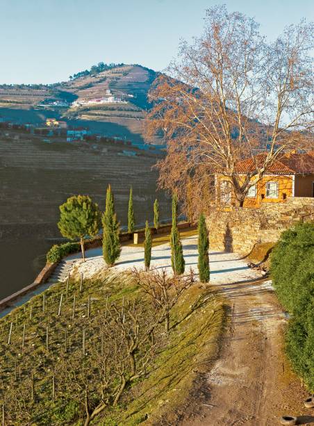 A bucólica propriedade da <strong>Vallado</strong>, onde touriga e outras uvas são plantadas