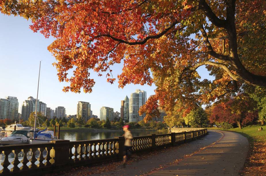 Em Vancouver, as folhas avermelhadas das tardes de outono animam os praticantes de esportes no Stanley Park Em Vancouver, as folhas avermelhadas das tardes de outono animam os praticantes de esportes no Stanley Park