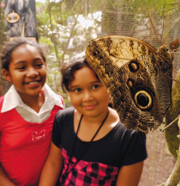 Entre as bucólicas Stellenbosch e Paarl, o borboletário do Butterfly World