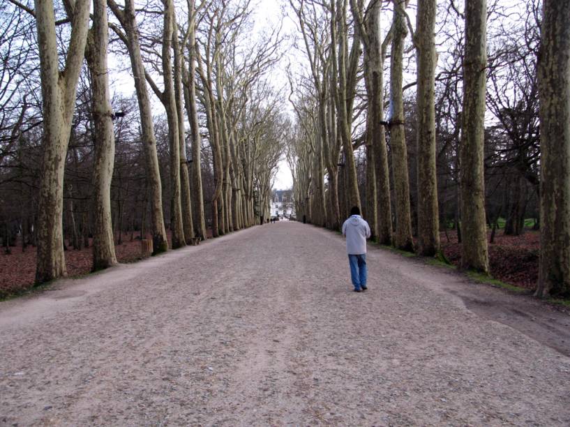 Caminho para o <a href="https://viajeaqui.abril.com.br/estabelecimentos/franca-vale-do-loire-atracao-chateau-de-chenonceau" rel="Château de Chenonceau" target="_self">Château de Chenonceau</a>, <a href="https://viajeaqui.abril.com.br/cidades/franca-vale-do-loire" rel="Vale do Loire" target="_self">Vale do Loire</a>, <a href="https://viajeaqui.abril.com.br/paises/franca" rel="França" target="_self">França</a>