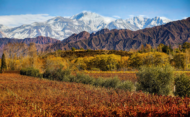 Entre Cielos Wine Hotel, Luján de Cuyo, Mendoza, Argentina