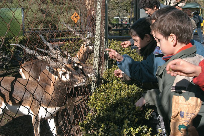 pibes-e-cervos-no-zoologico-de-buenos-aires.jpg