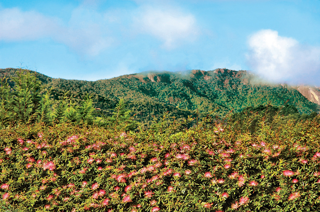 Monte Verde, Minas Gerais