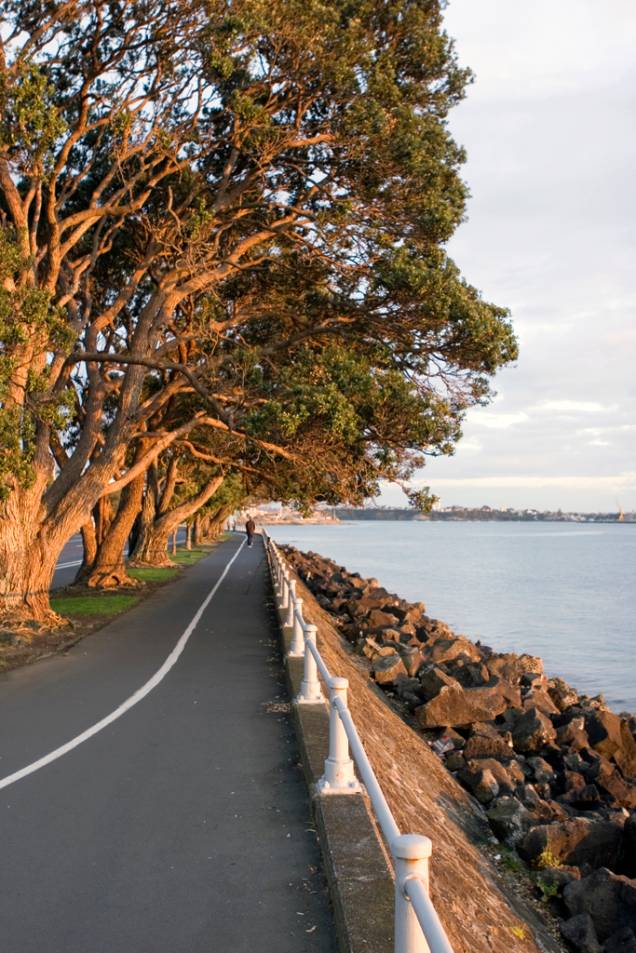 De carro ou de bicicleta vale percorrer a Tamaki Drive, uma avenida costeira que atravessa a baía de Hudson, em Auckland De carro ou de bicicleta vale percorrer a Tamaki Drive, uma avenida costeira que atravessa a baía de Hudson, em Auckland