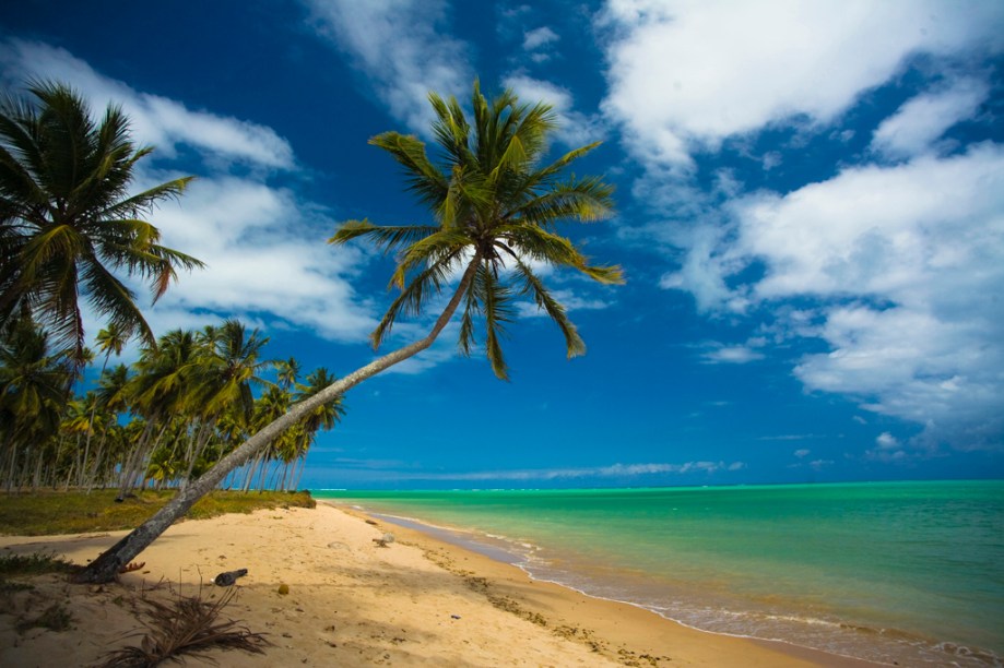 Na maré baixa é possível caminhar quilômetros "mar" adentro e curtir as piscinas naturais que se formam na praia do Patacho em São Miguel dos Milagres, Alagoas