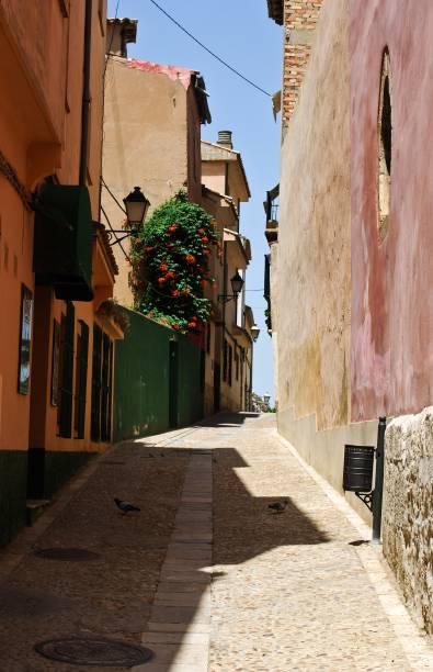 Ruazinha em Cuenca