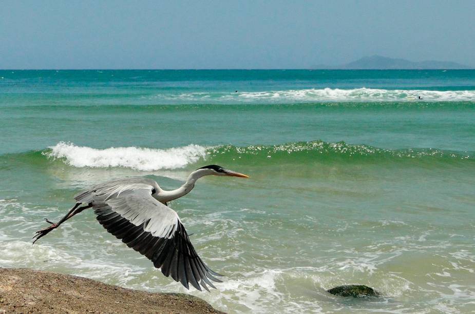 Guarda do Embaú, Santa Catarina