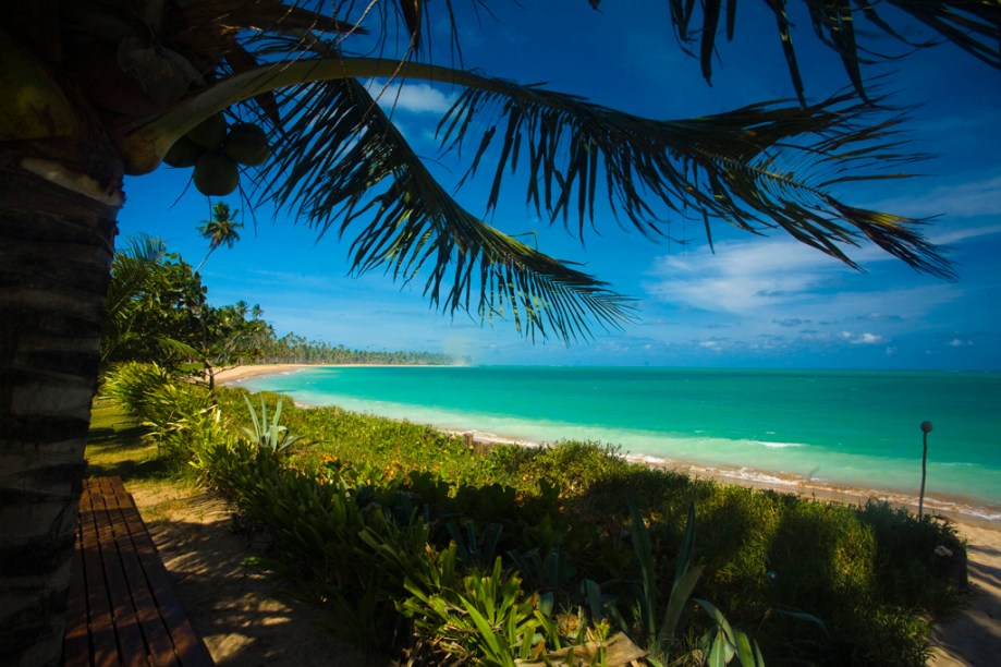 Quando a maré está baixa, a Praia de Lage em São Miguel dos Milagres, Alagoas, repleta de coqueiros, é boa para caminhadas