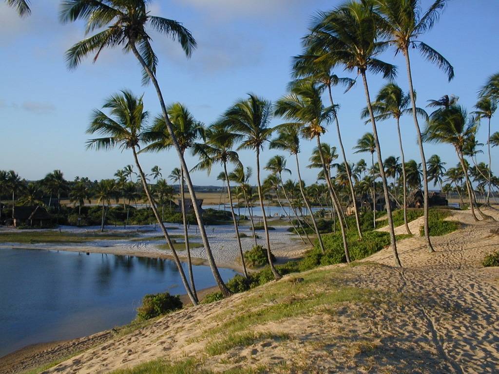 Aldeia hippie na Praia de Arembepe, na Bahia