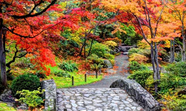 A beleza do Japanese Garden de Seattle, nos EUA A beleza do Japanese Garden de Seattle, nos EUA