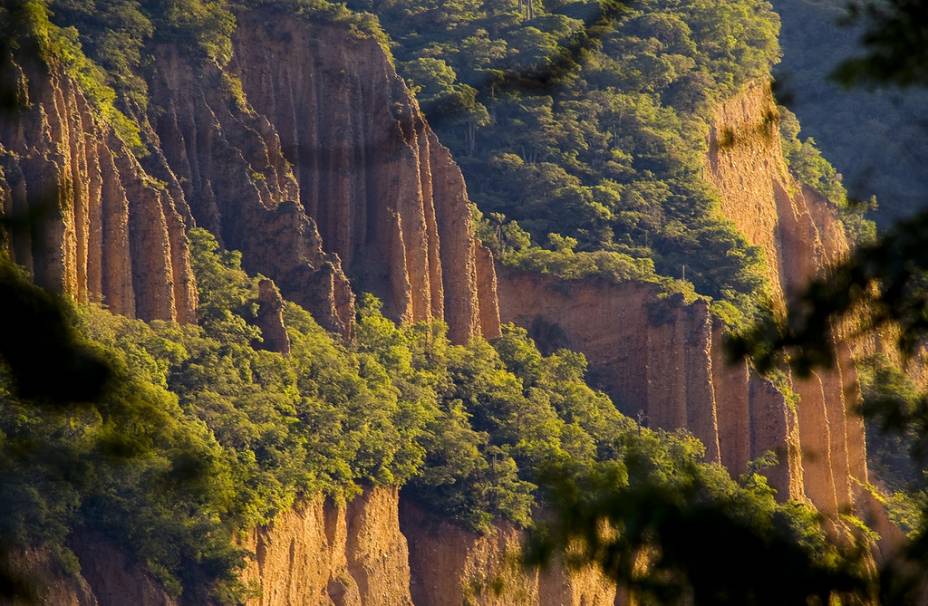 Campo Santo Campo Santo