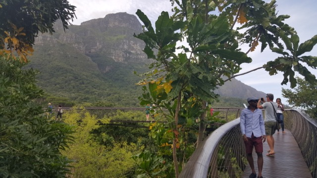 Passeio relax no jardim botânico de Kirstenbosch, um dos lugares mais bonitos do mundo