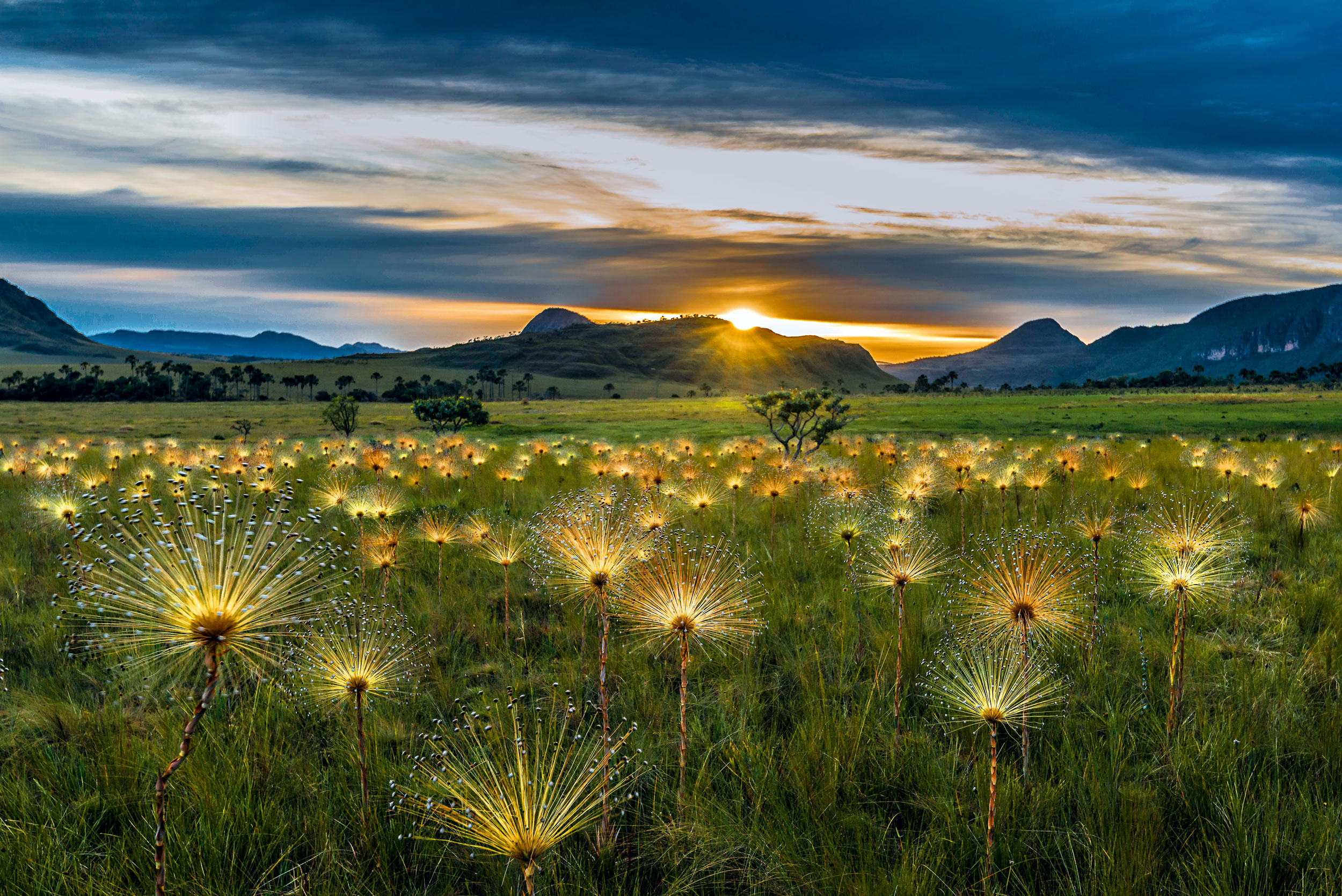 Parque Nacional da Chapada Dos Veadeiros