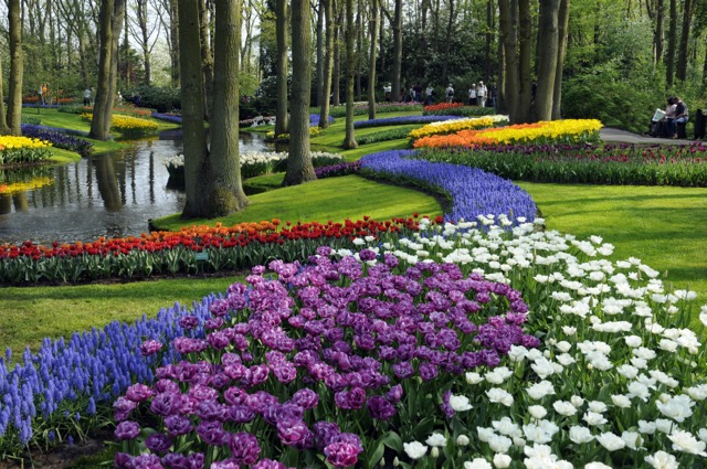 keukenhof_garden-2-1 keukenhof_garden-2-1