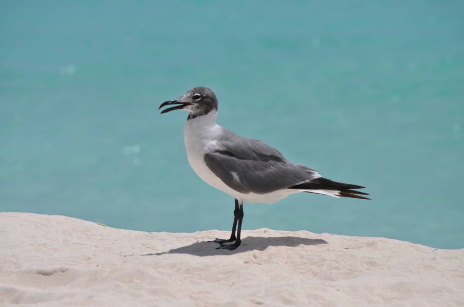 Los Roques, Venezuela