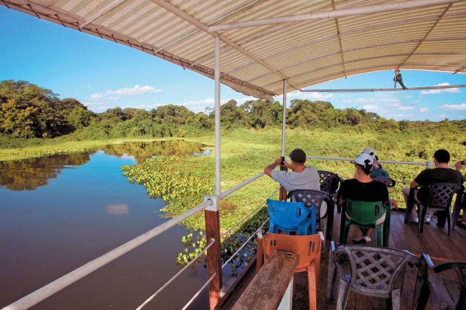 No Pantanal (MT e MS) os passeios pelo rio permitem chegar próximo a jacarés, capivaras e aves aquáticas