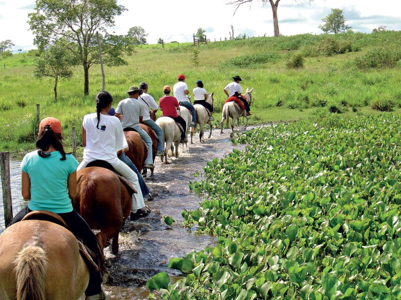 O passeio a cavalo permite chegar a lugares que seriam impossíveis de alcançar a pé ou de caminhão. Em algumas pousadas é possível acompanhar o manejo do gado junto com os peões no Pantanal (MT e MS)