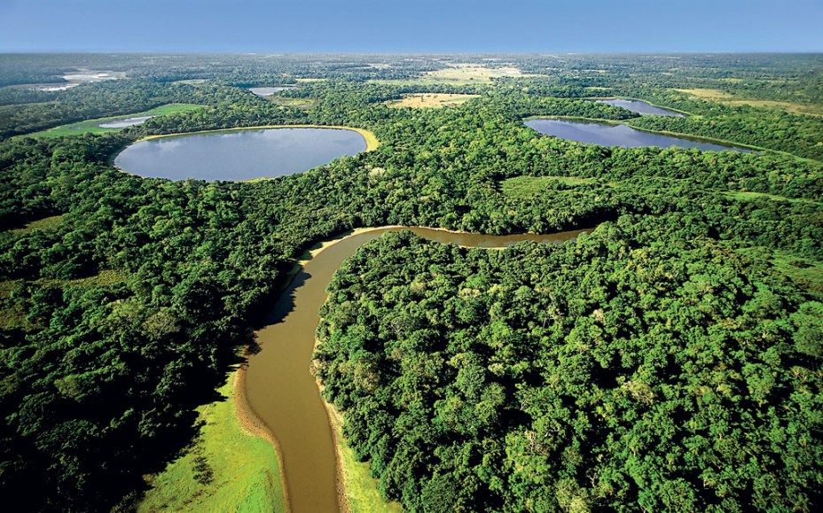 A maior planície inundável do planeta é um refúgio para peixes, anfíbios, répteis, aves e mamíferos. O Pantanal (MT e MS) é um dos melhores lugares no mundo para a observação de vida selvagem. Segundo a ONG SOS Pantanal, 85% do bioma ainda está preservado