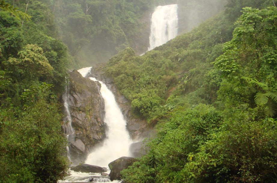 A Cachoeira dos Veados tem um dos acessos mais difíceis dentre as cachoeiras que se encontram no <a href="https://preprod.viagemeturismo.abril.com.br/atracao/parque-nacional-da-serra-da-bocaina/" target="_blank">Parque Nacional da Serra da Bocaina</a>, na divisa entre os Estados de <a href="https://preprod.viagemeturismo.abril.com.br/estados/sao-paulo/" target="_blank">São Paulo</a> e <a href="https://preprod.viagemeturismo.abril.com.br/estados/rio-de-janeiro/" target="_blank">Rio de Janeiro</a>. As duas quedas d’água que somam 200 metros só são acessíveis pela <a href="https://preprod.viagemeturismo.abril.com.br/atracao/trekking-na-trilha-do-ouro-2/" target="_blank">Trilha do Ouro.</a> A caminhada é intensa e tem pelo menos 5 horas de duração.