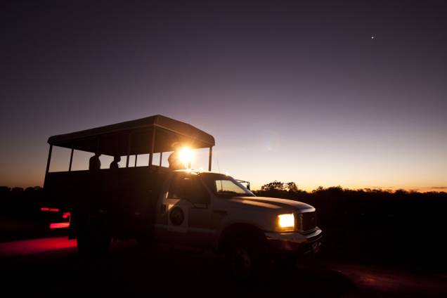 A focagem é a melhor oportunidade para observar os animais de hábitos noturnos no Pantanal. Cada parada do caminhão é uma surpresa! Pode ser um lobinho, uma coruja, um tamanduá ou, quem sabe, até uma onça-pintada A focagem é a melhor oportunidade para observar os animais de hábitos noturnos no Pantanal. Cada parada do caminhão é uma surpresa! Pode ser um lobinho, uma coruja, um tamanduá ou, quem sabe, até uma onça-pintada