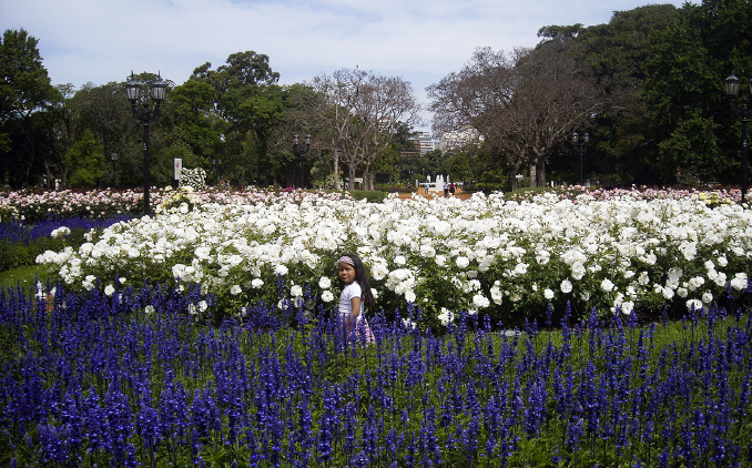 Buenos Aires, Rosedal