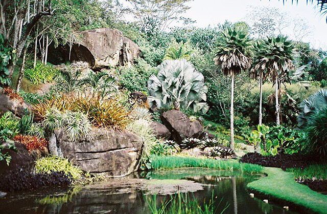 sitioburlemarx_rio4gringos.jpeg