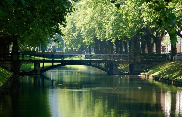 À beira do rio Reno, as árvores de Düsseldorf ficam irresistíveis para um clique no verão À beira do rio Reno, as árvores de Düsseldorf ficam irresistíveis para um clique no verão