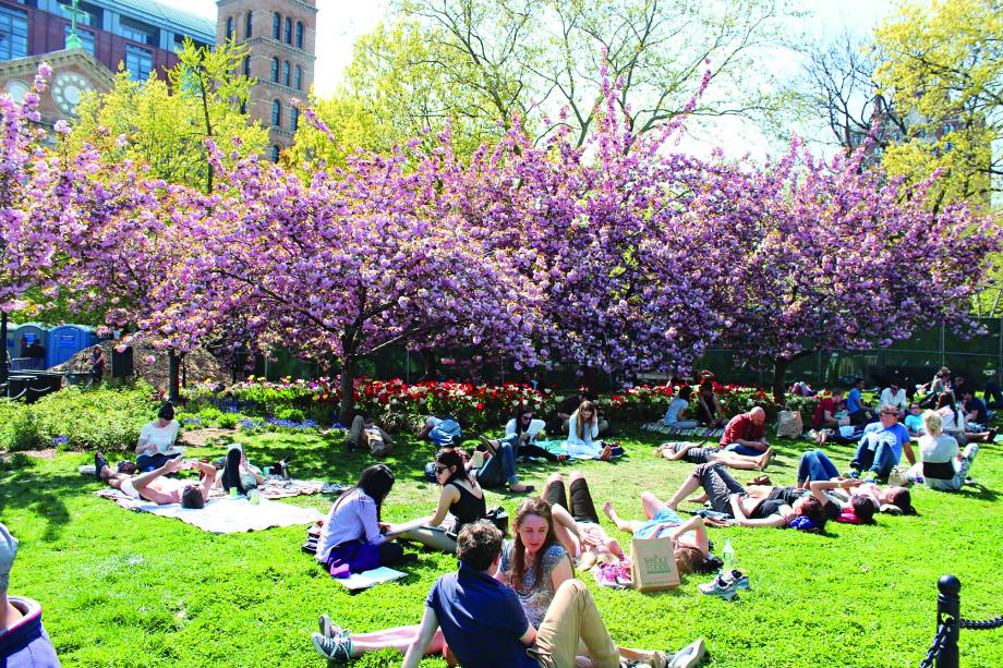 "A Washington Square é a cara da cidade, com estudantes almoçando pelos gramados, músicos, pintores, cachorros, crianças... além do arco de mármore que dá o charme da praça. Ande até a <a href="https://preprod.viagemeturismo.abril.com.br/atracao/bleecker-street/" target="_blank">Bleecker Street</a>, repleta de lojas e restaurantes. O lendário jazz club <a href="https://preprod.viagemeturismo.abril.com.br/restaurante/blue-note/" target="_blank">Blue Note</a> e o clube de humor <a href="https://www.comedycellar.com/" target="_blank">Comedy Cellar</a> estão ali do lado.”