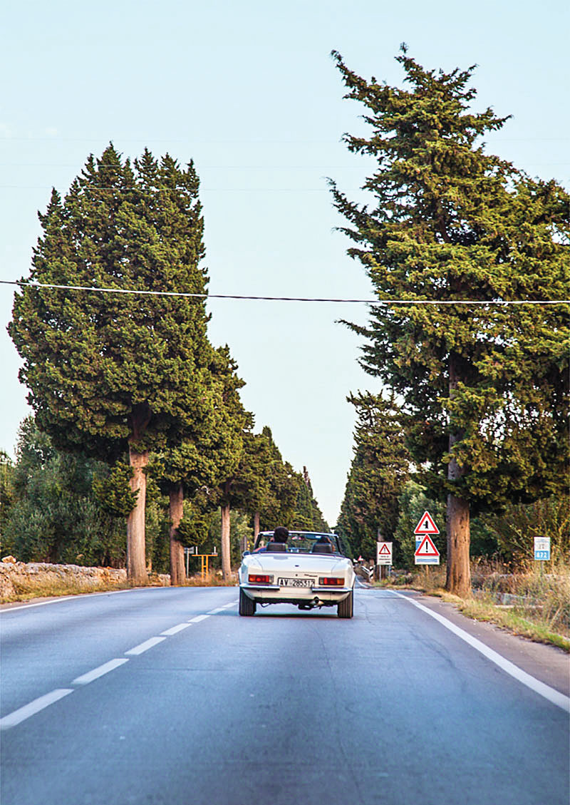 Carro em estrada na região da Puglia, Itália Carro conversível, visto de traseira, percorre um via com altas árvores