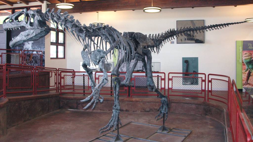 Esqueleto de um Alossauro Esqueleto completo de um Alossauro exposto dentro da sala de um museu