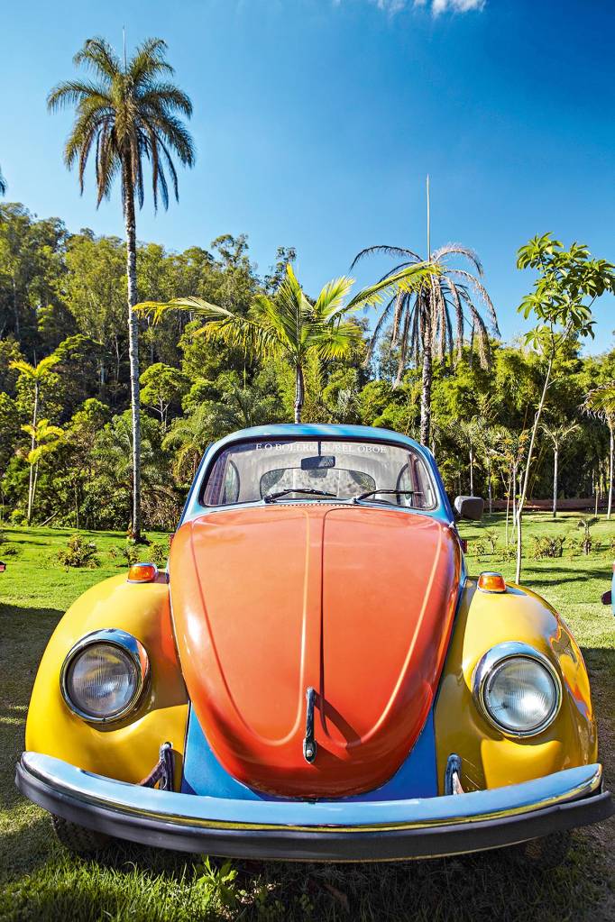 Jarbas Lopes, Inhotim, Brasil Um fusca cujo capô, laterais e teto de cores diferentes entre si denunciam que suas peças pertenciam a outros dois carros e foram remontadas