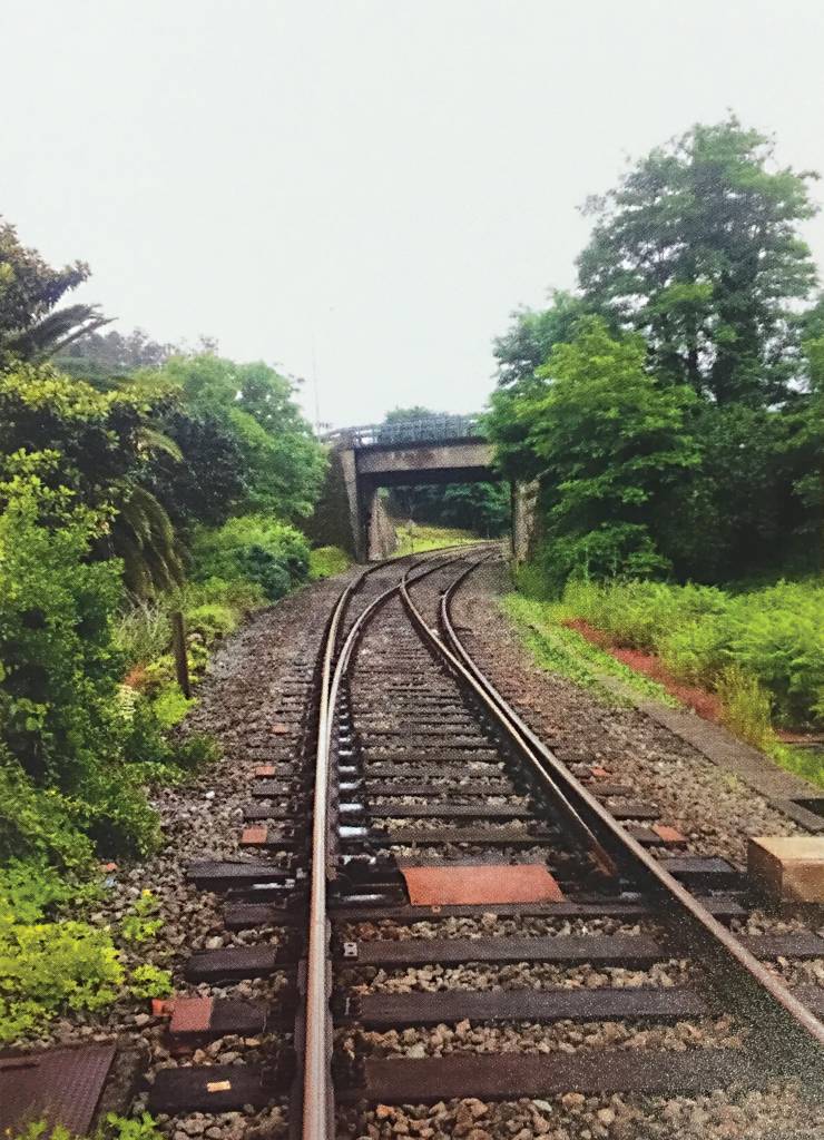 Fiz o caminho de Santiago de Compostela e isso mudou a minha vida