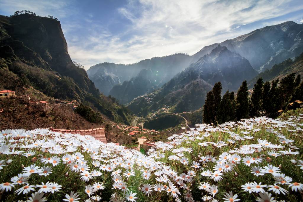 Campo de flores com vista para o Curral das Freiras na Ilha da Madeira em Portugal