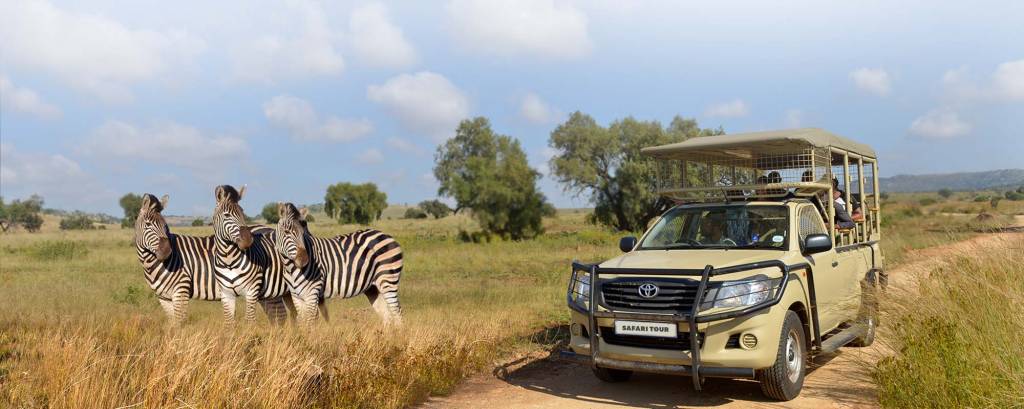 Lion Park, Johannesburgo, África do Sul