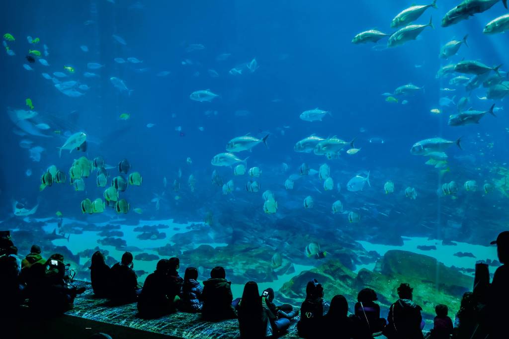 Um aquário enorme com crianças sentadas à frente, dando a impressão de estarem sentadas no fundo do oceano