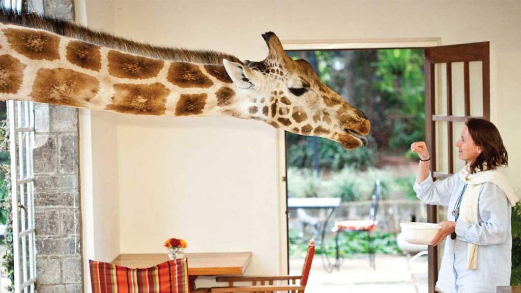 Giraffe Manor, Nairóbi, Quênia Giraffe Manor, Nairóbi, Quênia