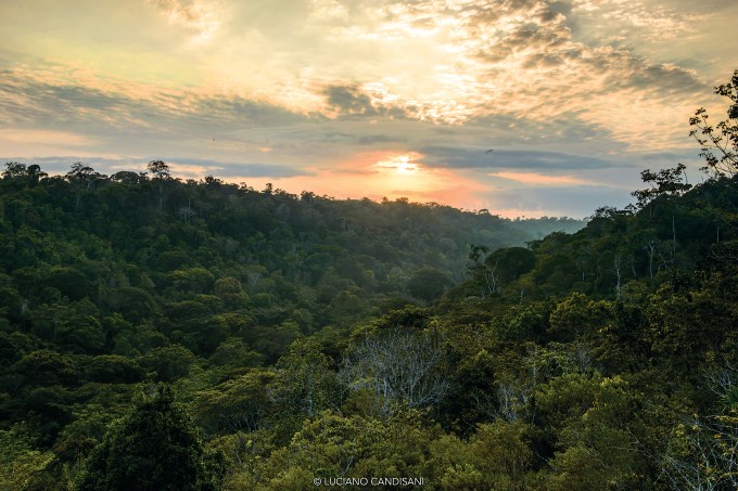 Porto Seguro, Mata Atlântica