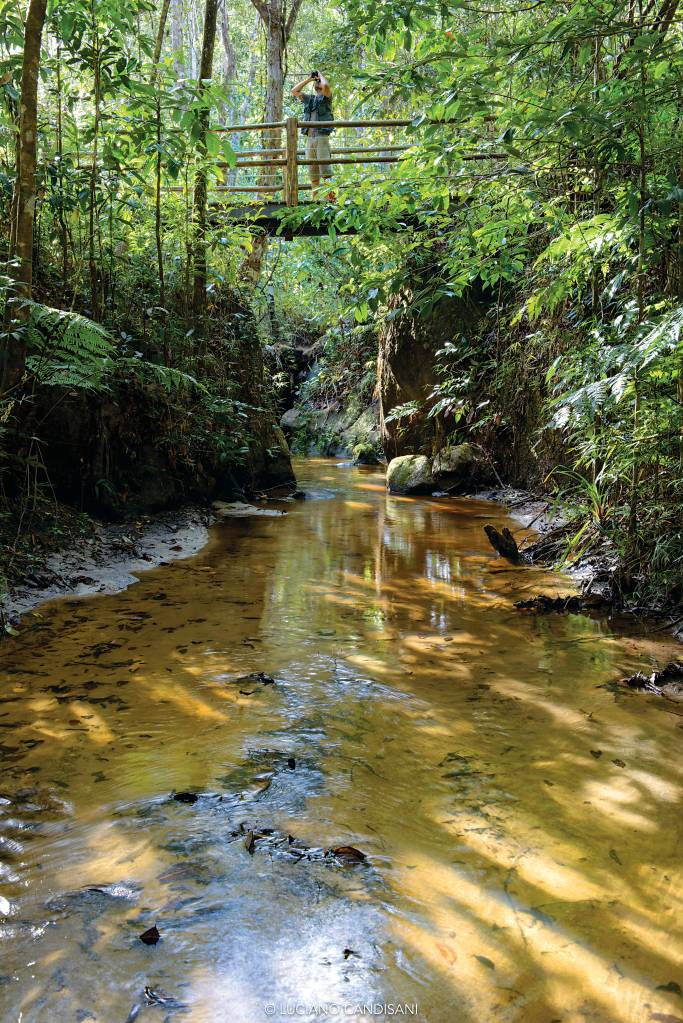 Curso do rio em meio à floresta. O rio está em nível bem mais baixo que o chão e as árvores, e há um homem fotografando do alto de uma ponte