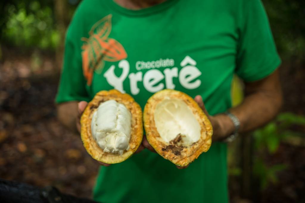 Fazenda Yrerê, Ilhéus, Bahia Fazenda Yrerê, Ilhéus, Bahia
