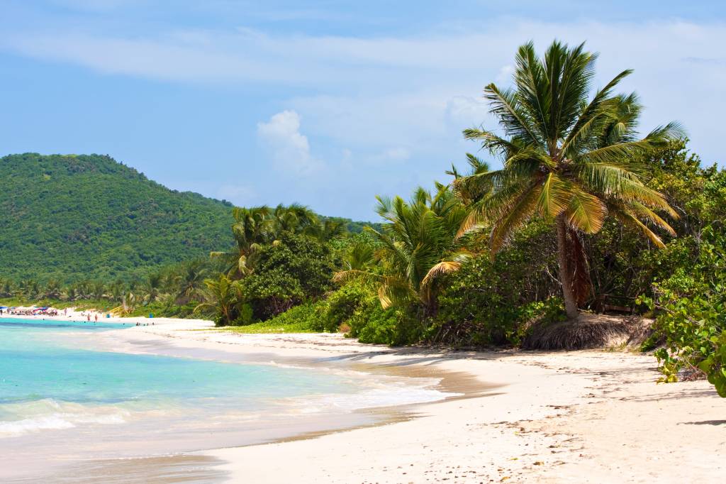 Coqueiros, areia branca e mar esverdeado da Praia Flamenco, na Ilha de Culebra, em Porto Rico, no Caribe