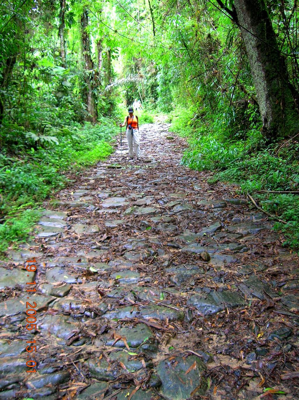 Calçamento de pedras da Trilha do Ouro