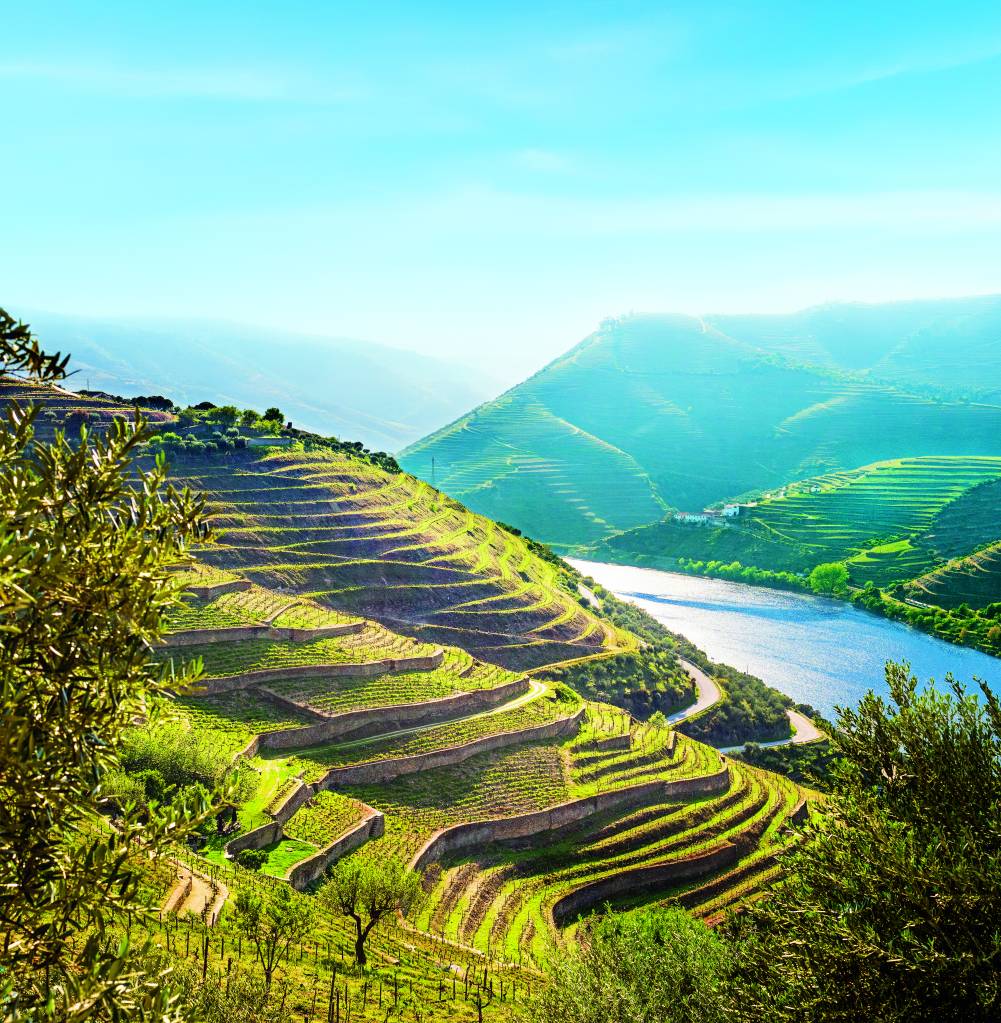 Vale do Douro, Portugal