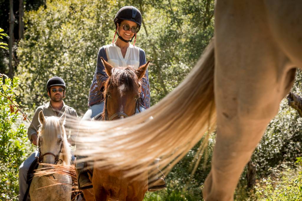 Passeio a Cavalo Melides Passeio na serra: trilhas pouco exploradas