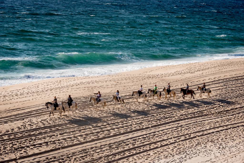 Passeio a Cavalo Melides Cavalgada na praia ao pôr do sol: fim de tarde especial