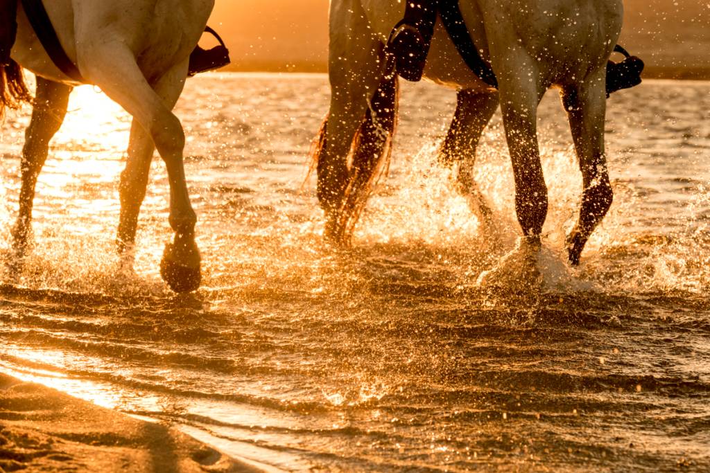 Passeio a Cavalo Melides Banho de água doce na Lagoa de Melides, pertinho do mar