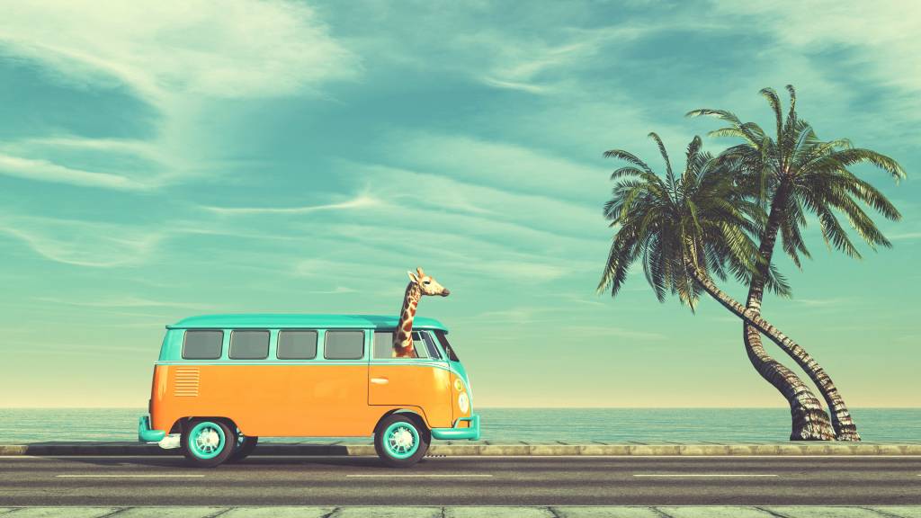 Girafa em van – viagem com animais Girafa em van - viagem com animais
