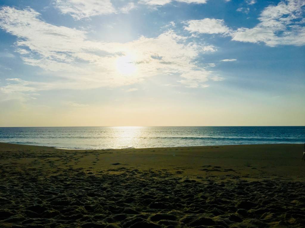 Praia da Comporta A Praia do Pêgo, a 10 minutos do hotel