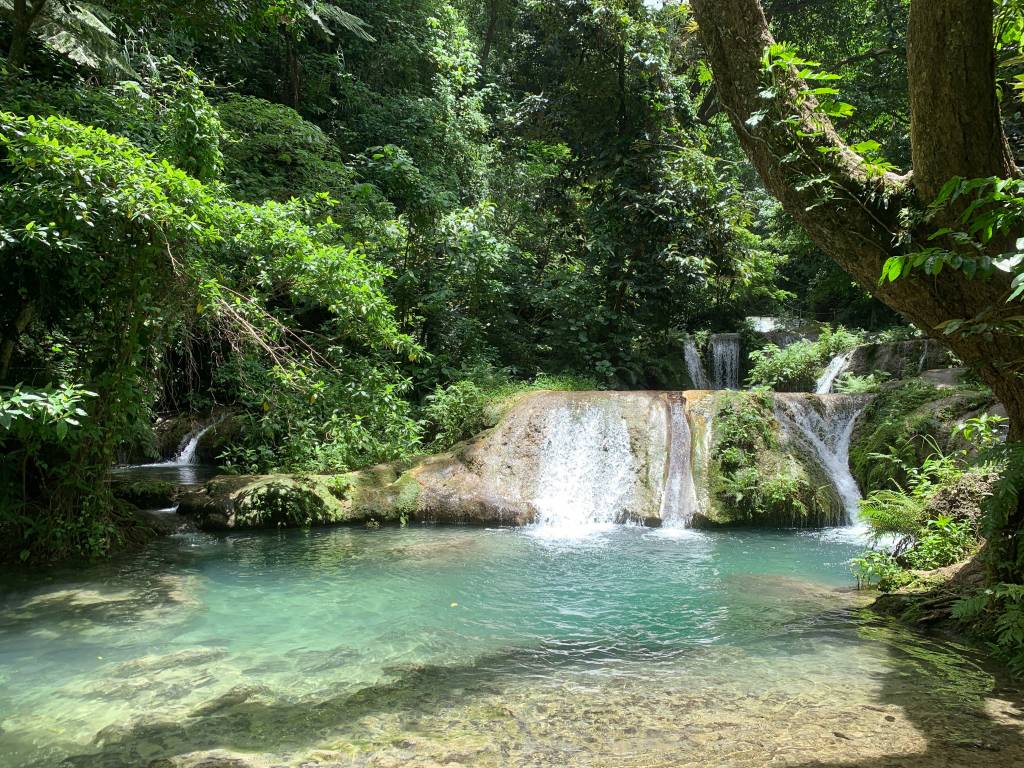 IMG_4772 Vanuatu