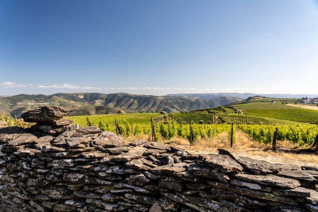 Vale do Rio Douro, Portugal